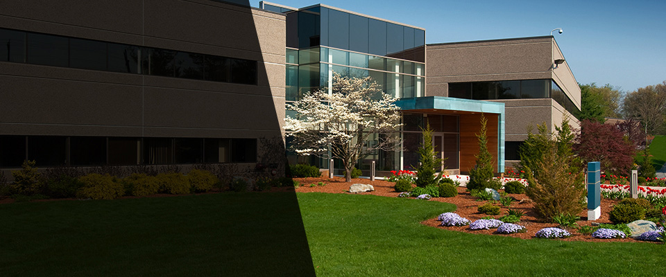 Crystal River Landscapers