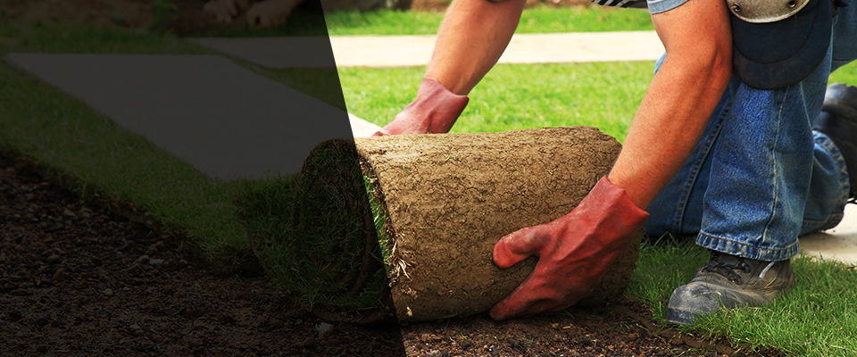 Crystal River Landscapers